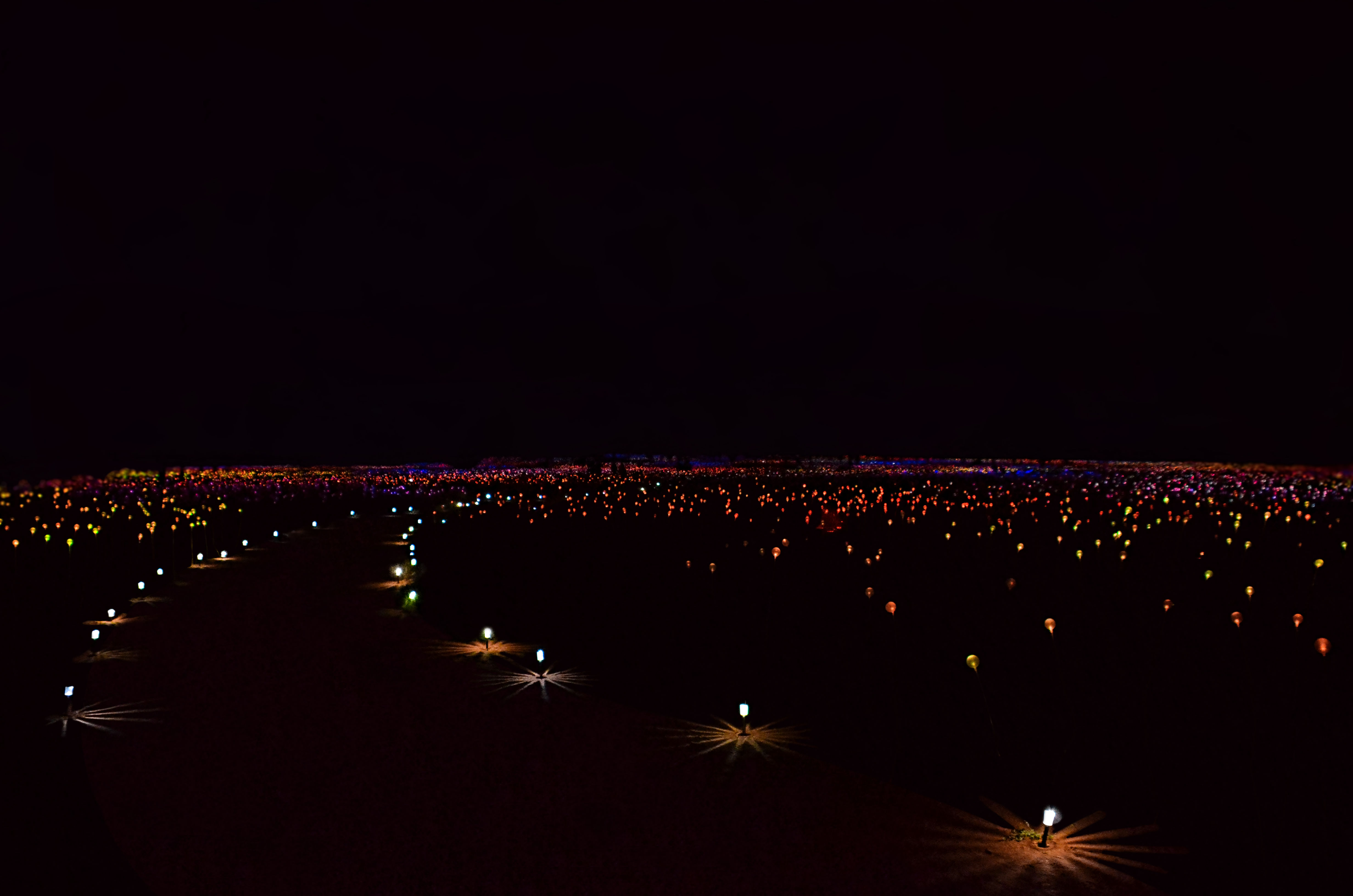 Field of Light Field of Light